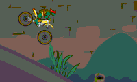 Ninja Turtle BIke