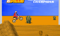 Motocross Champions