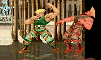 Flash Street Fighter 2 ����� ��� ���������