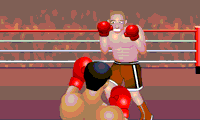 Boxer