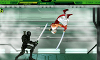 Ninja showdown